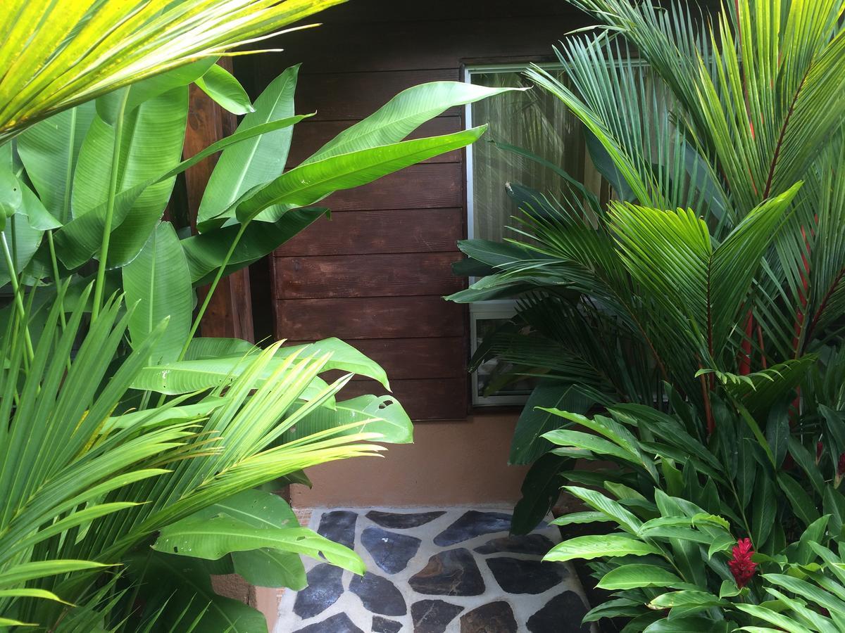Mussaenda, Arenal Hotell La Fortuna Eksteriør bilde