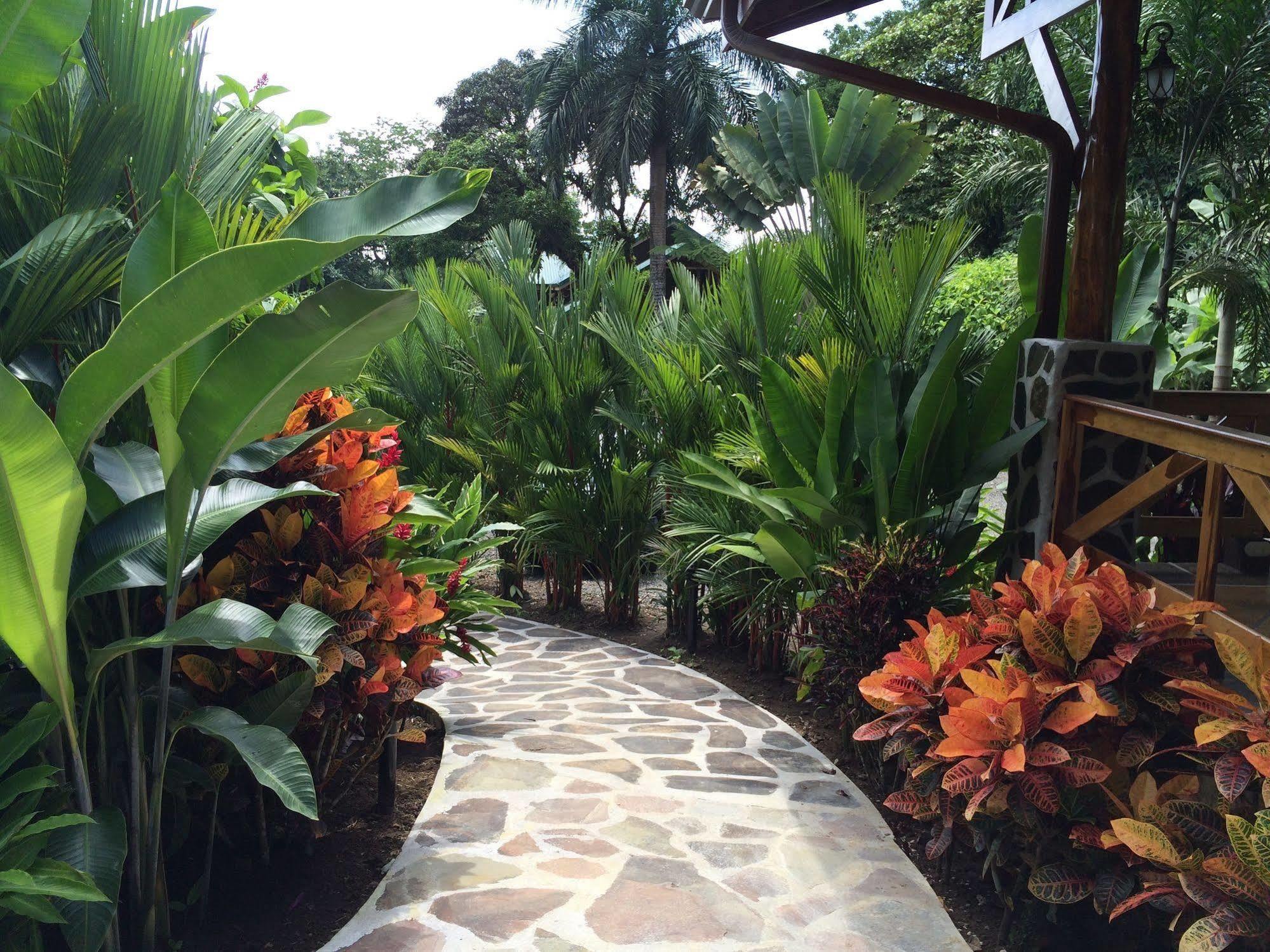 Mussaenda, Arenal Hotell La Fortuna Eksteriør bilde